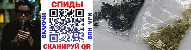 гидра вход Калач-на-Дону это телеграм Бутират буратино