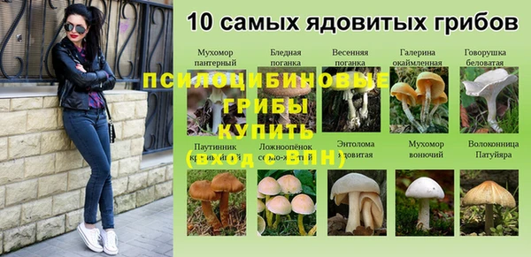 спиды Алексеевка