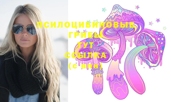 спиды Алексеевка